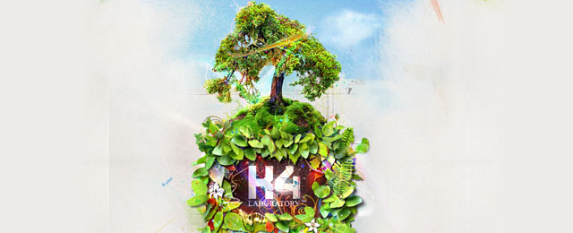 k4 creative website design