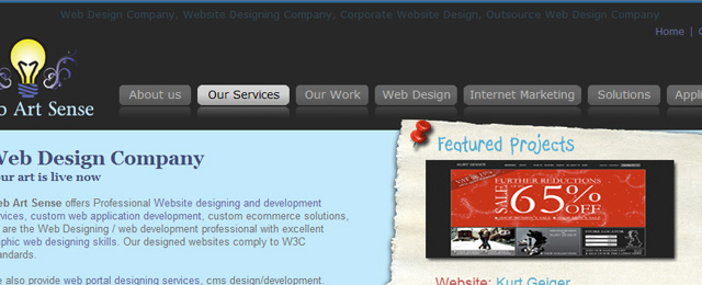 Web 2.0 web designer company homepage