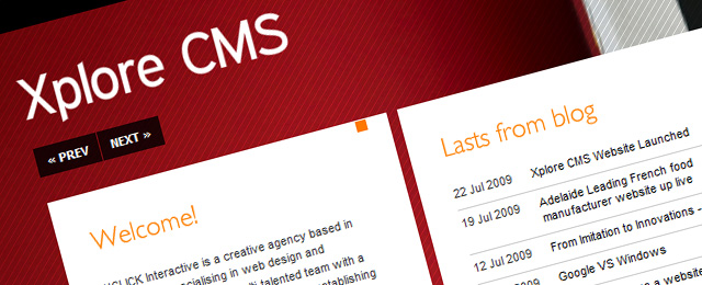 Dynamic, great website design for company