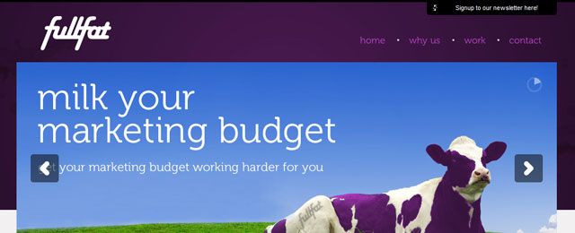 Great, clean, professional web design company website